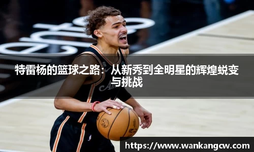 特雷杨的篮球之路：从新秀到全明星的辉煌蜕变与挑战